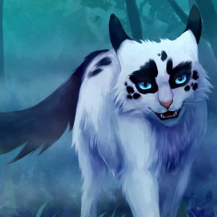 квд